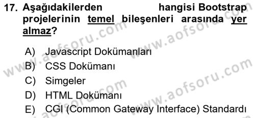 Web Tabanlı Kodlama Dersi 2021 - 2022 Yılı (Final) Dönem Sonu Sınav Soruları 17. Soru