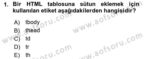 Web Tabanlı Kodlama Dersi 2021 - 2022 Yılı Yaz Okulu Sınav Soruları 1. Soru
