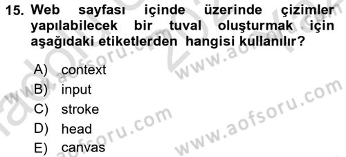 Web Tabanlı Kodlama Dersi 2021 - 2022 Yılı Yaz Okulu Sınav Soruları 15. Soru