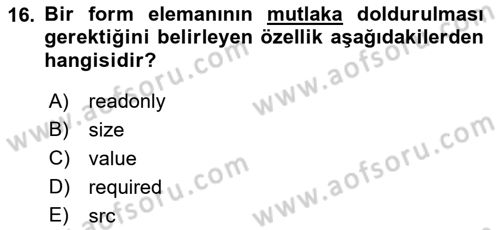 Web Tabanlı Kodlama Dersi 2021 - 2022 Yılı Yaz Okulu Sınav Soruları 16. Soru