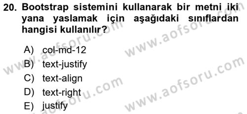 Web Tabanlı Kodlama Dersi 2021 - 2022 Yılı Yaz Okulu Sınav Soruları 20. Soru