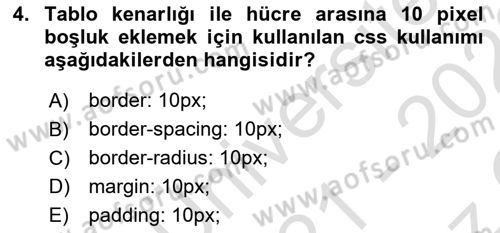 Web Tabanlı Kodlama Dersi 2021 - 2022 Yılı Yaz Okulu Sınav Soruları 4. Soru