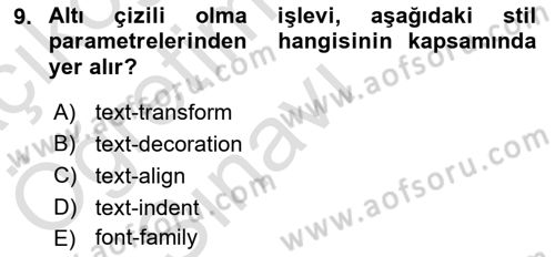 Web Tabanlı Kodlama Dersi 2021 - 2022 Yılı Yaz Okulu Sınav Soruları 9. Soru