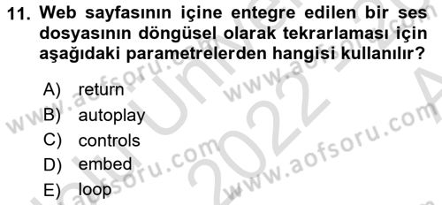 Web Tabanlı Kodlama Dersi 2022 - 2023 Yılı (Vize) Ara Sınav Soruları 11. Soru