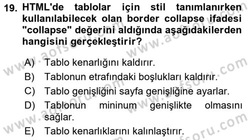 Web Tabanlı Kodlama Dersi 2022 - 2023 Yılı (Vize) Ara Sınav Soruları 19. Soru