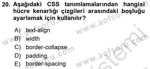 Web Tabanlı Kodlama Dersi 2022 - 2023 Yılı (Vize) Ara Sınav Soruları 20. Soru
