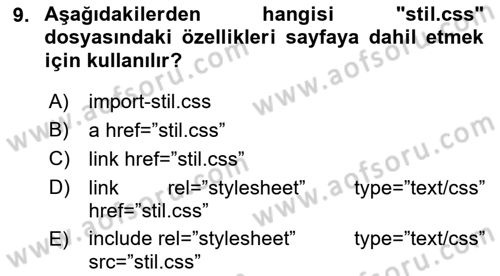 Web Tabanlı Kodlama Dersi 2022 - 2023 Yılı (Vize) Ara Sınav Soruları 9. Soru