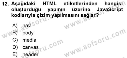 Web Tabanlı Kodlama Dersi 2022 - 2023 Yılı (Final) Dönem Sonu Sınav Soruları 12. Soru