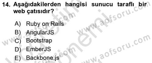 Web Tabanlı Kodlama Dersi 2022 - 2023 Yılı (Final) Dönem Sonu Sınav Soruları 14. Soru
