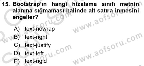 Web Tabanlı Kodlama Dersi 2022 - 2023 Yılı (Final) Dönem Sonu Sınav Soruları 15. Soru