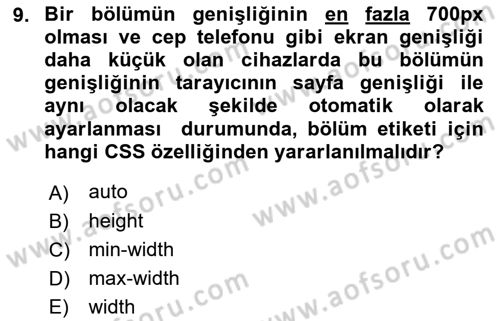 Web Tabanlı Kodlama Dersi 2022 - 2023 Yılı (Final) Dönem Sonu Sınav Soruları 9. Soru