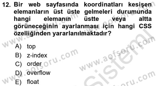 Web Tabanlı Kodlama Dersi 2022 - 2023 Yılı Yaz Okulu Sınav Soruları 12. Soru