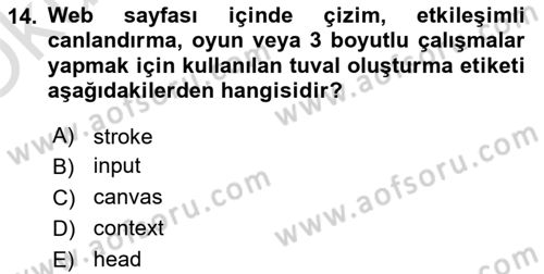 Web Tabanlı Kodlama Dersi 2022 - 2023 Yılı Yaz Okulu Sınav Soruları 14. Soru