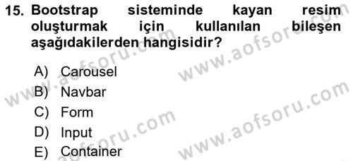 Web Tabanlı Kodlama Dersi 2022 - 2023 Yılı Yaz Okulu Sınav Soruları 15. Soru