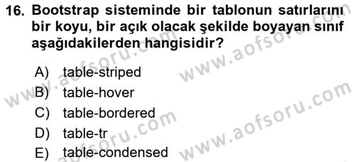 Web Tabanlı Kodlama Dersi 2022 - 2023 Yılı Yaz Okulu Sınav Soruları 16. Soru