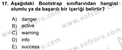 Web Tabanlı Kodlama Dersi 2022 - 2023 Yılı Yaz Okulu Sınav Soruları 17. Soru