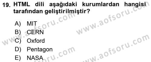 Web Tabanlı Kodlama Dersi 2022 - 2023 Yılı Yaz Okulu Sınav Soruları 19. Soru