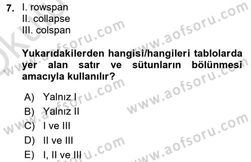 Web Tabanlı Kodlama Dersi 2022 - 2023 Yılı Yaz Okulu Sınav Soruları 7. Soru