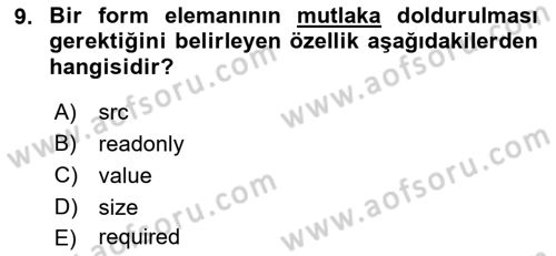 Web Tabanlı Kodlama Dersi 2022 - 2023 Yılı Yaz Okulu Sınav Soruları 9. Soru