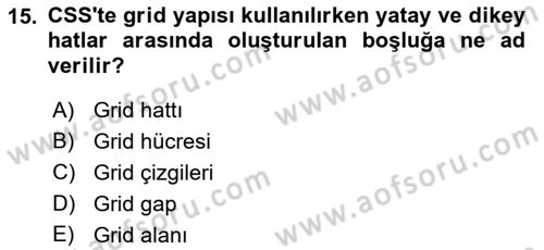 Web Tabanlı Kodlama Dersi 2023 - 2024 Yılı (Vize) Ara Sınav Soruları 15. Soru