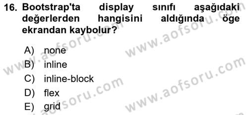 Web Tabanlı Kodlama Dersi 2023 - 2024 Yılı (Vize) Ara Sınav Soruları 16. Soru