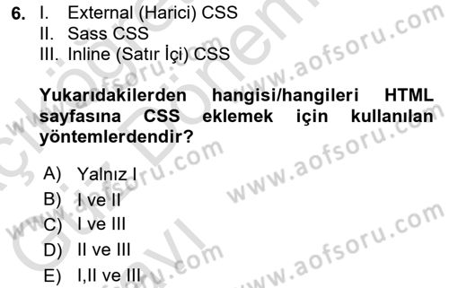 Web Tabanlı Kodlama Dersi 2023 - 2024 Yılı (Vize) Ara Sınav Soruları 6. Soru