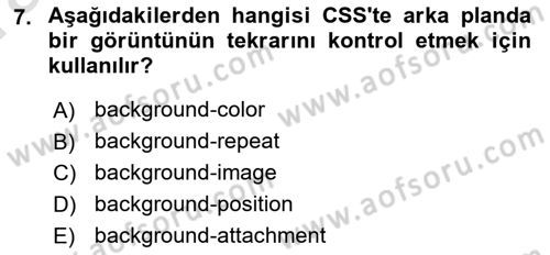 Web Tabanlı Kodlama Dersi 2023 - 2024 Yılı (Vize) Ara Sınav Soruları 7. Soru