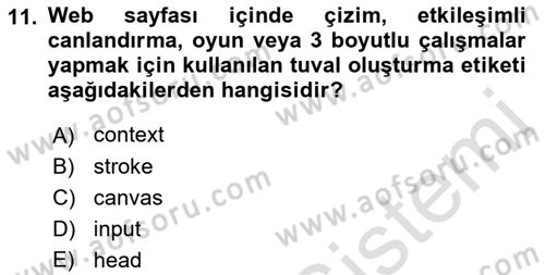 Web Tabanlı Kodlama Dersi 2023 - 2024 Yılı (Final) Dönem Sonu Sınav Soruları 11. Soru