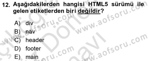 Web Tabanlı Kodlama Dersi 2023 - 2024 Yılı (Final) Dönem Sonu Sınav Soruları 12. Soru
