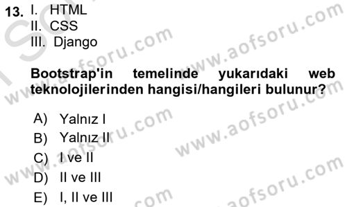 Web Tabanlı Kodlama Dersi 2023 - 2024 Yılı (Final) Dönem Sonu Sınav Soruları 13. Soru