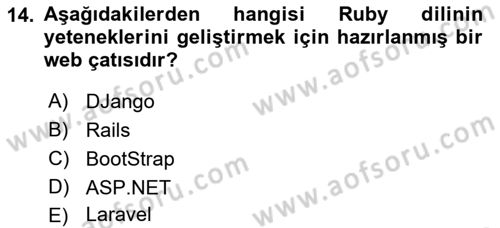 Web Tabanlı Kodlama Dersi 2023 - 2024 Yılı (Final) Dönem Sonu Sınav Soruları 14. Soru