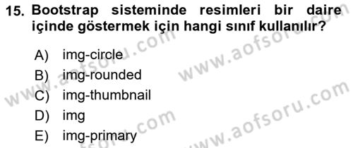 Web Tabanlı Kodlama Dersi 2023 - 2024 Yılı (Final) Dönem Sonu Sınav Soruları 15. Soru