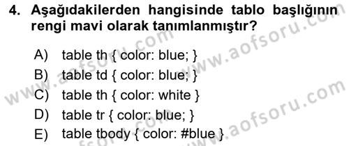 Web Tabanlı Kodlama Dersi 2023 - 2024 Yılı (Final) Dönem Sonu Sınav Soruları 4. Soru