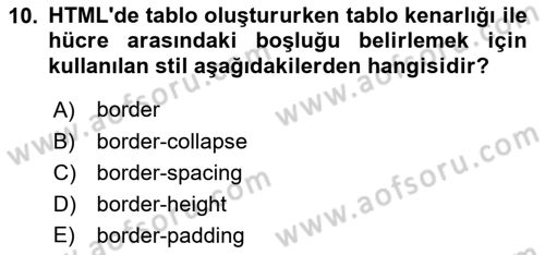 Web Tabanlı Kodlama Dersi 2023 - 2024 Yılı Yaz Okulu Sınav Soruları 10. Soru