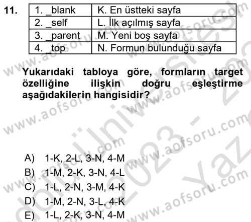 Web Tabanlı Kodlama Dersi 2023 - 2024 Yılı Yaz Okulu Sınav Soruları 11. Soru