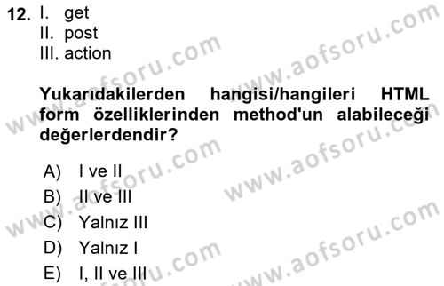 Web Tabanlı Kodlama Dersi 2023 - 2024 Yılı Yaz Okulu Sınav Soruları 12. Soru