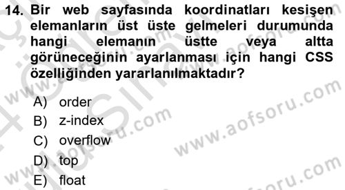 Web Tabanlı Kodlama Dersi 2023 - 2024 Yılı Yaz Okulu Sınav Soruları 14. Soru
