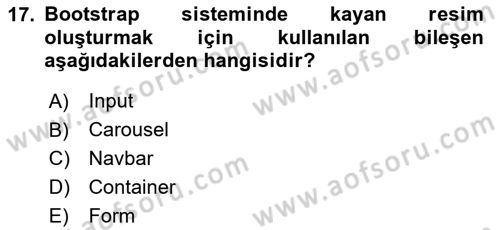 Web Tabanlı Kodlama Dersi 2023 - 2024 Yılı Yaz Okulu Sınav Soruları 17. Soru