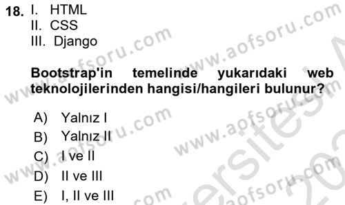 Web Tabanlı Kodlama Dersi 2023 - 2024 Yılı Yaz Okulu Sınav Soruları 18. Soru