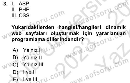 Web Tabanlı Kodlama Dersi 2023 - 2024 Yılı Yaz Okulu Sınav Soruları 3. Soru
