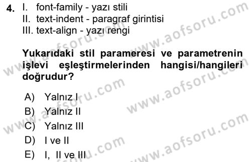Web Tabanlı Kodlama Dersi 2023 - 2024 Yılı Yaz Okulu Sınav Soruları 4. Soru