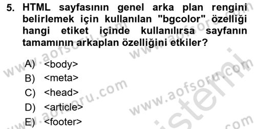 Web Tabanlı Kodlama Dersi 2023 - 2024 Yılı Yaz Okulu Sınav Soruları 5. Soru