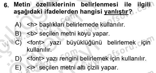 Web Tabanlı Kodlama Dersi 2023 - 2024 Yılı Yaz Okulu Sınav Soruları 6. Soru