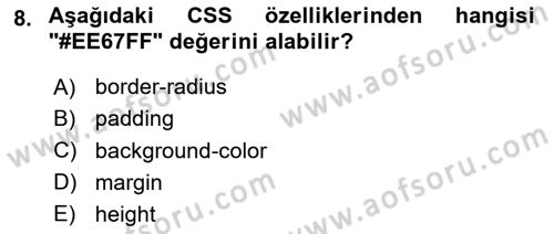 Web Tabanlı Kodlama Dersi 2023 - 2024 Yılı Yaz Okulu Sınav Soruları 8. Soru