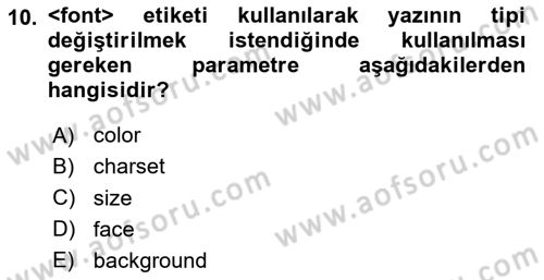 Web Tabanlı Kodlama Dersi 2024 - 2025 Yılı (Vize) Ara Sınav Soruları 10. Soru