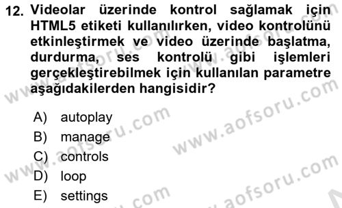 Web Tabanlı Kodlama Dersi 2024 - 2025 Yılı (Vize) Ara Sınav Soruları 12. Soru