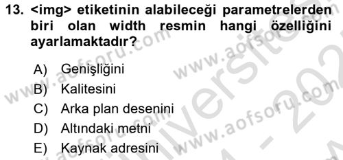 Web Tabanlı Kodlama Dersi 2024 - 2025 Yılı (Vize) Ara Sınav Soruları 13. Soru