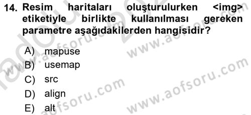 Web Tabanlı Kodlama Dersi 2024 - 2025 Yılı (Vize) Ara Sınav Soruları 14. Soru