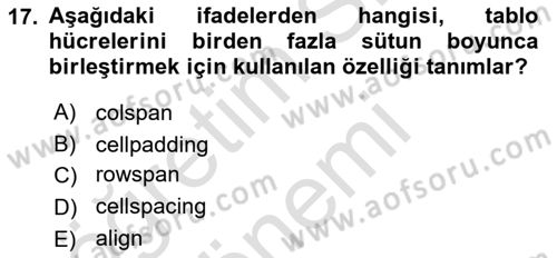 Web Tabanlı Kodlama Dersi 2024 - 2025 Yılı (Vize) Ara Sınav Soruları 17. Soru