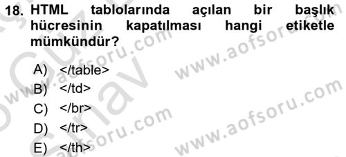 Web Tabanlı Kodlama Dersi 2024 - 2025 Yılı (Vize) Ara Sınav Soruları 18. Soru